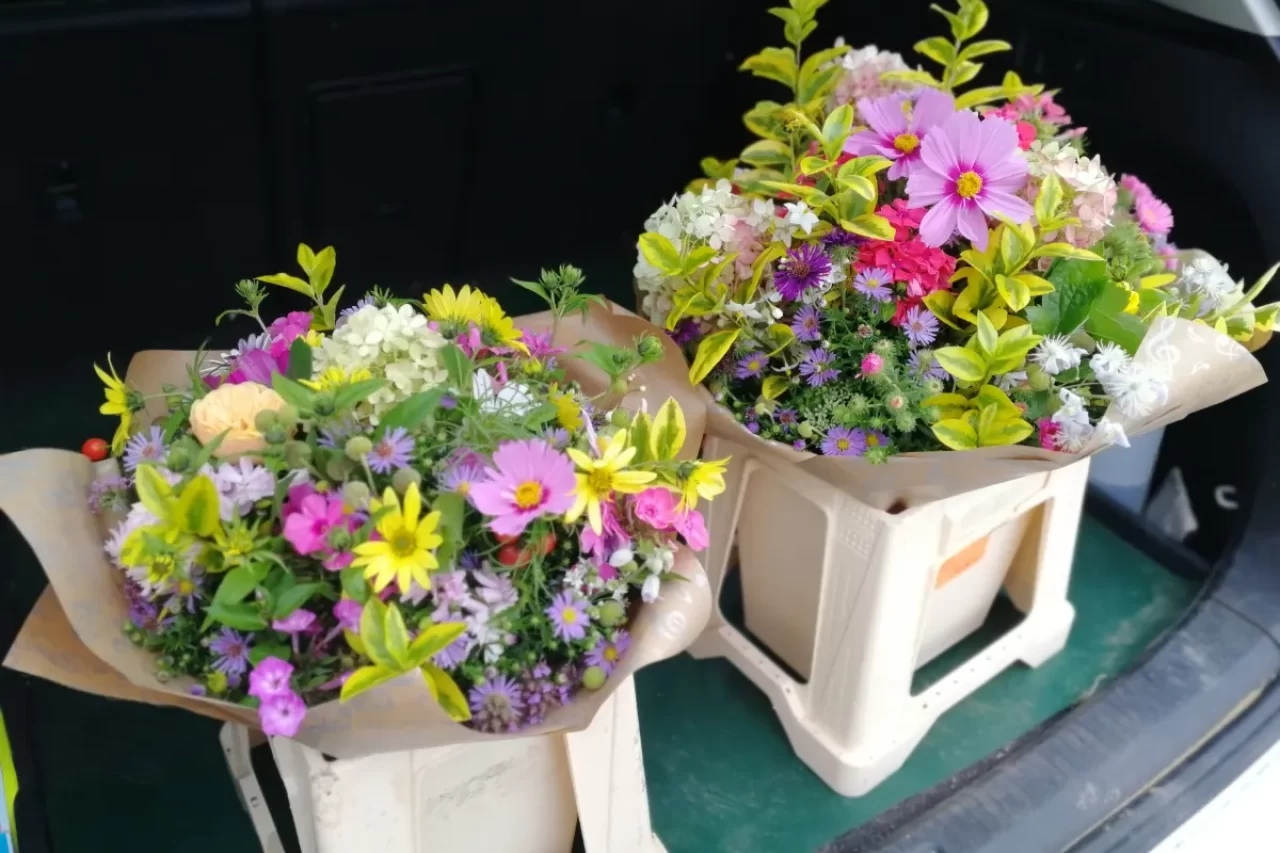 Rozvoz květin po Říčanech a okolí Rozvoz květin po Říčanech a okolí