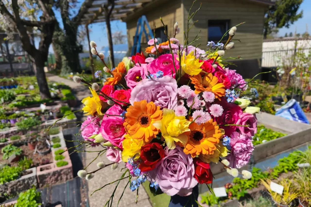 Řezaná kytice týdne uprostřed zahradnictví Řezaná kytice týdne uprostřed zahradnictví