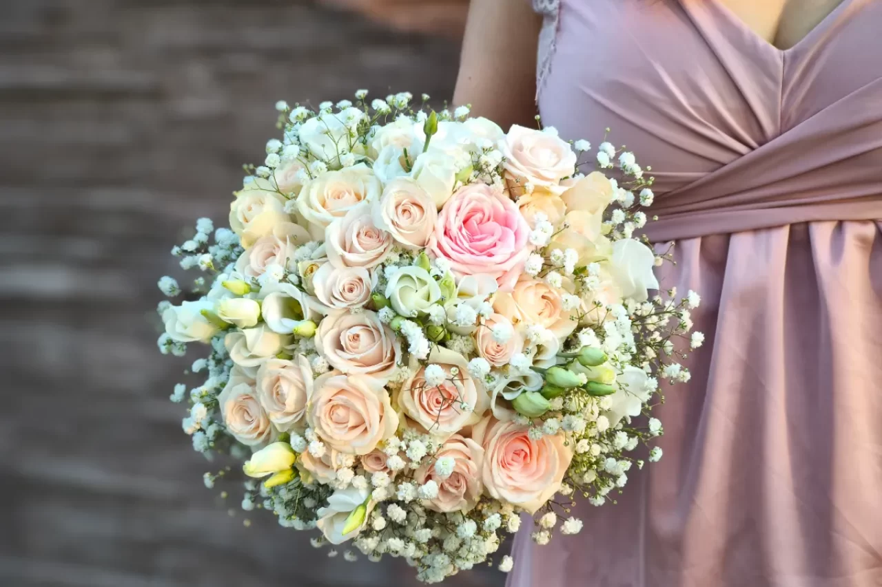 IMG_20250501_193854 IMG_20250501_193854