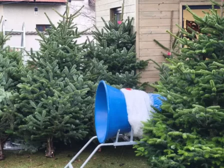 Prodej vánočních stromků v Říčanech